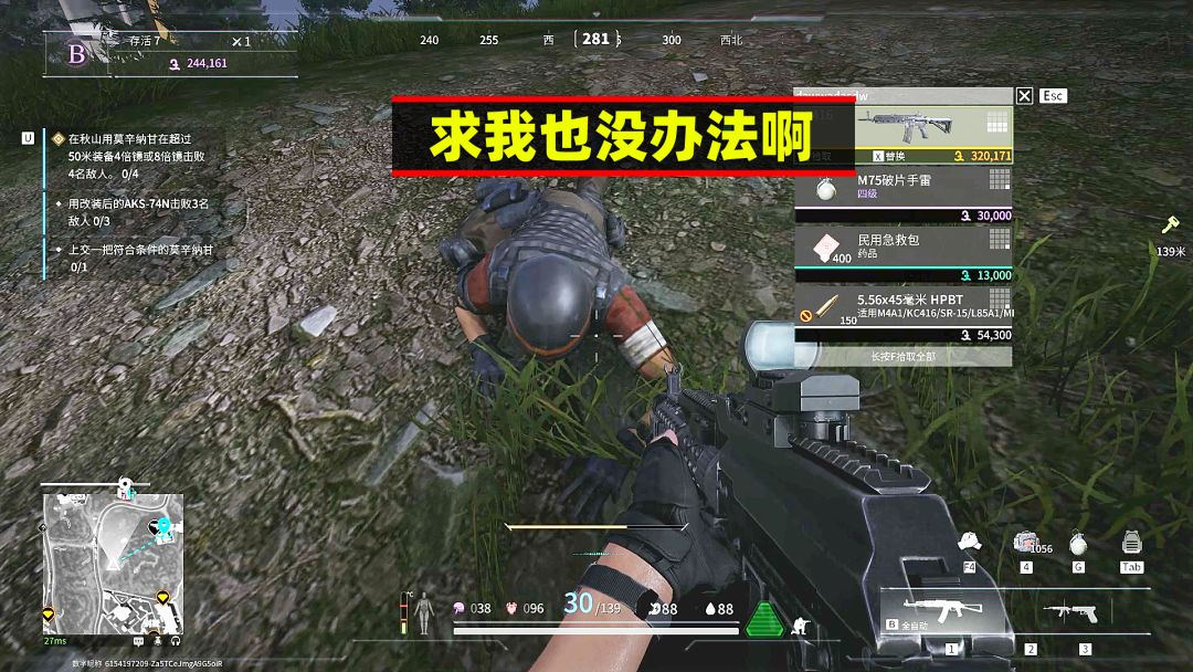 video-3899066