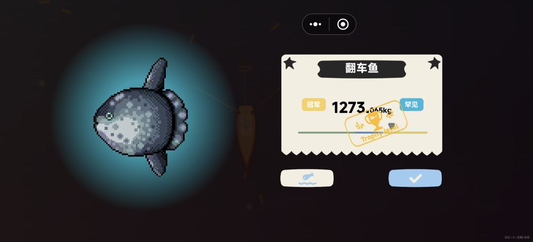 后面还有其他鱼吗 2