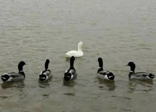主界面和地图画好了！ 2