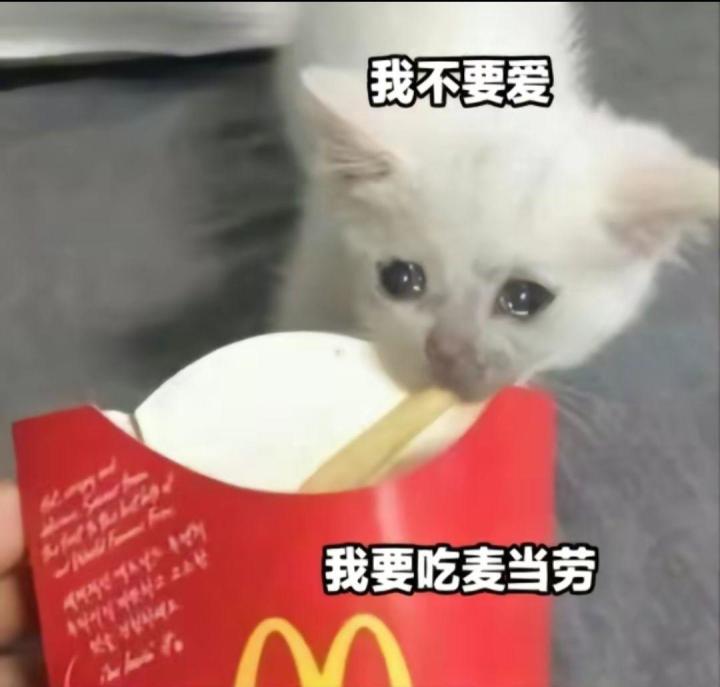 最近太忙了截图