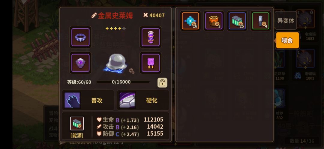 宠物升不了5星怎么回事? 1