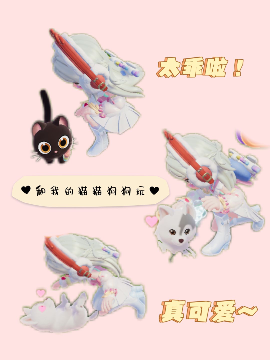 第一件事就是陪猫猫🐱狗狗🐶 1