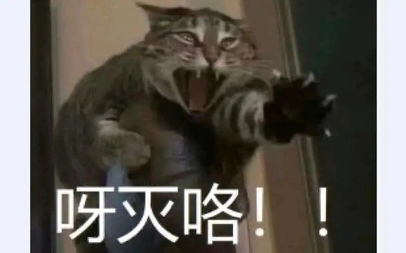 又开始折磨的协同作战 1