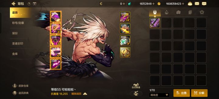 大佬们,我这装备怎么提升魔抗啊截图