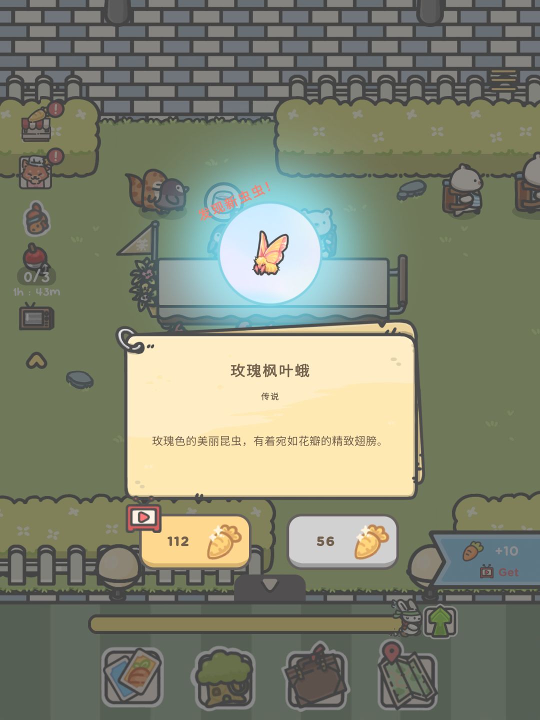 稀有虫子 10
