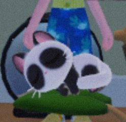 动态图片 8