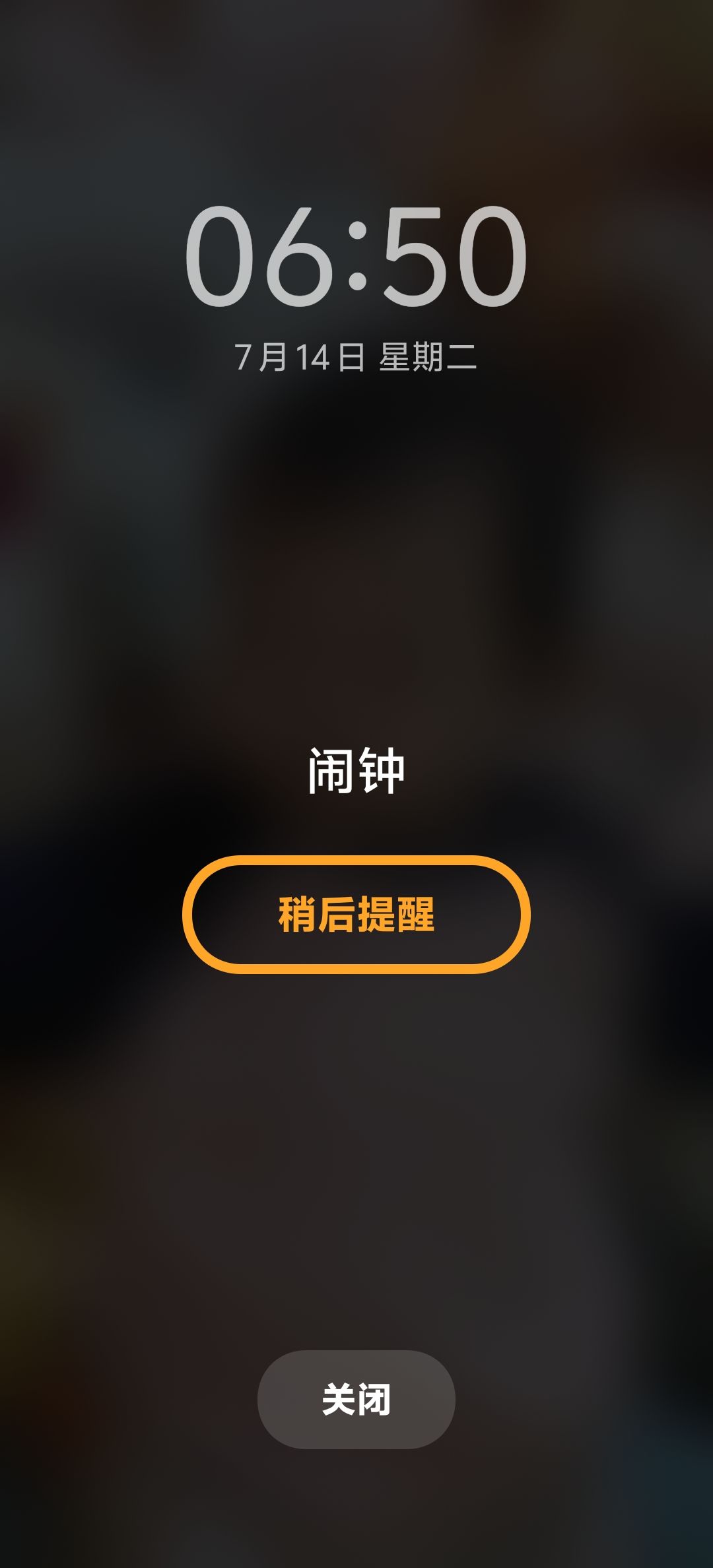 什么开测 1