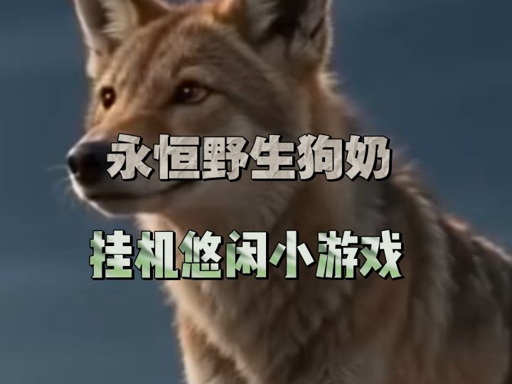 永恒的野生狗奶,爱你到永恒!截图