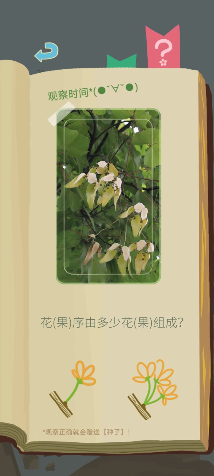 这个选哪个哇截图