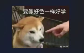 全部SSR镜灵关键蝶数及作用