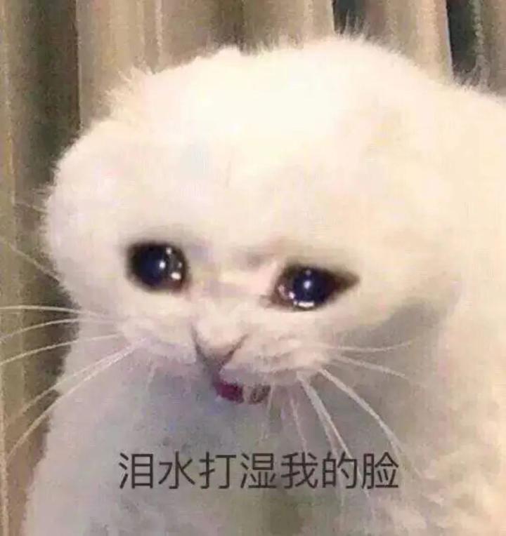 黑天鹅需要抽咩截图