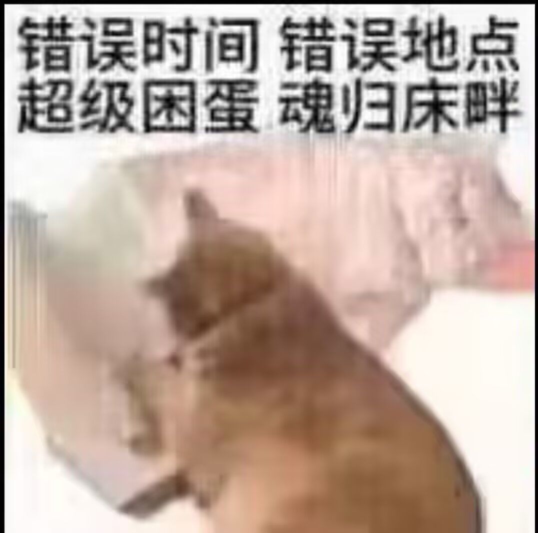 对软件测试的看法 1