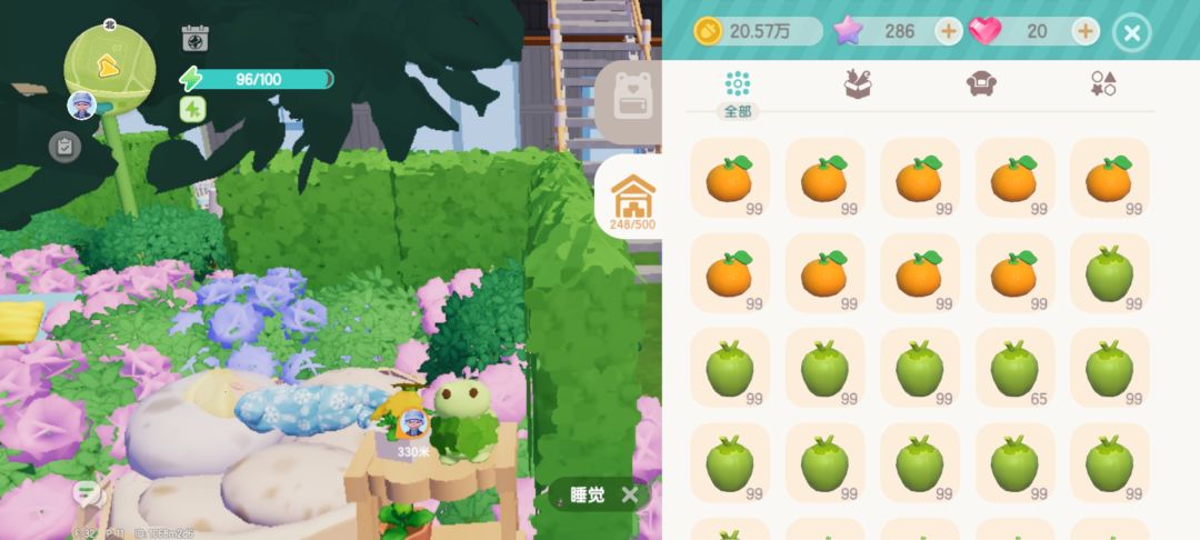 我的屯屯鼠之旅结束了 4