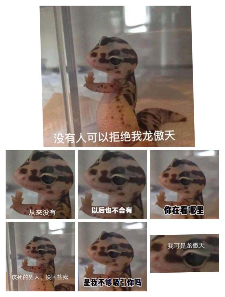 共号 1