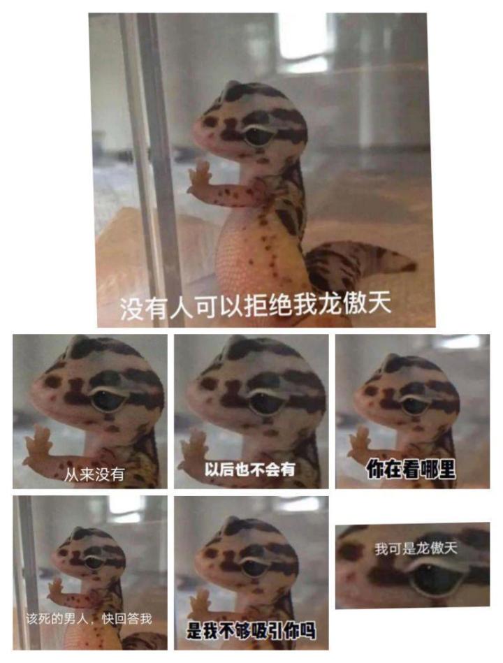 共号截图