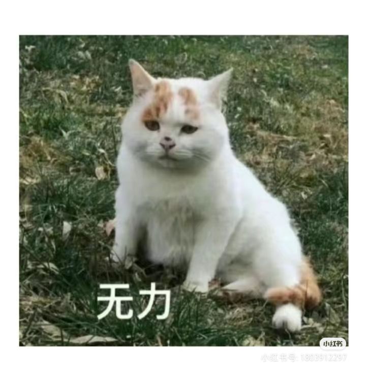 Boss血量是不是膨胀得太夸张了 1