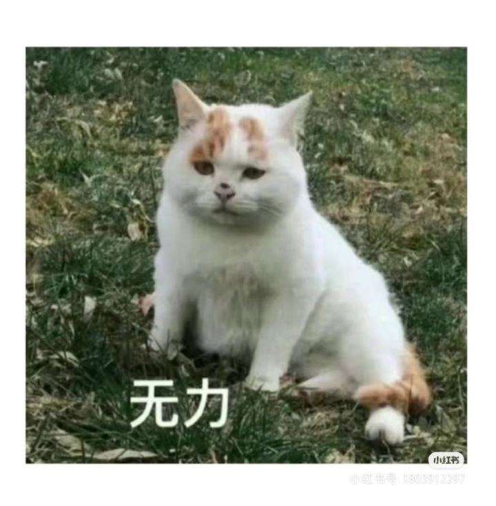 Boss血量是不是膨胀得太夸张了截图