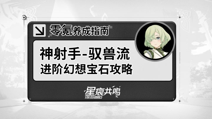 【星痕共鸣】神射手-驭兽流:进阶玩法介绍截图