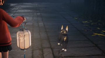 【梦境最新记录】未公开片段、测后回声与资格放送