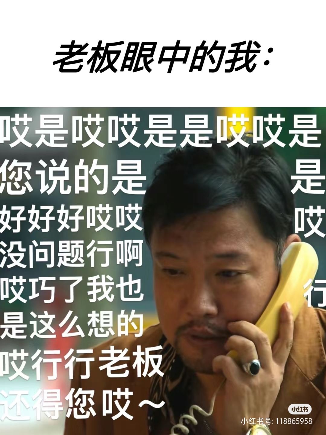 有和我一样的嘛 2