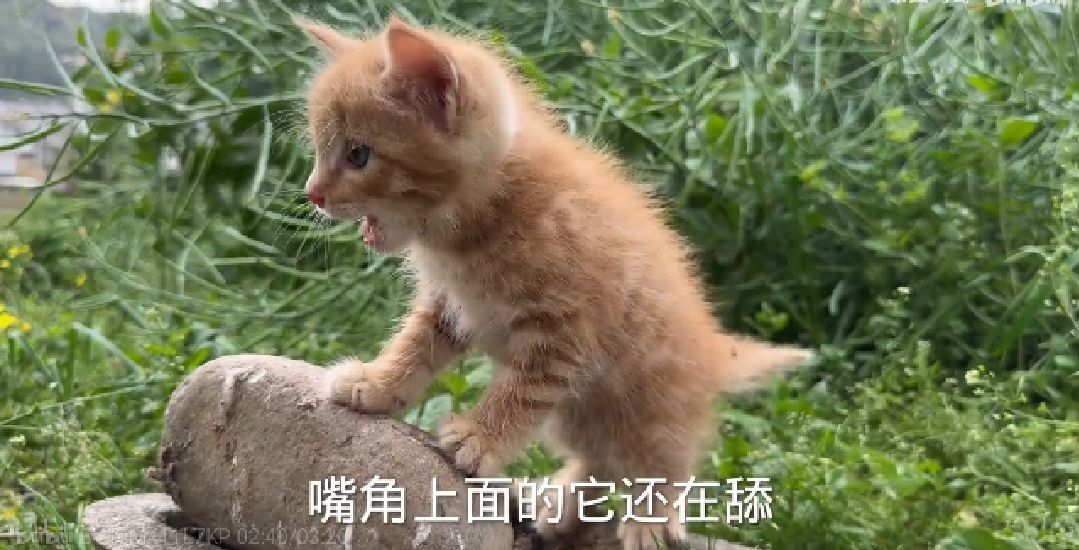 邀请码在此! 1