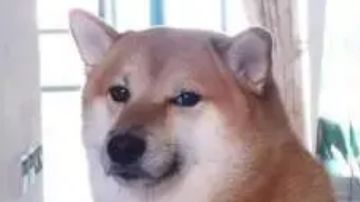 浅浅整个呼吸法大全（不含门派呼吸法）