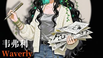 新秀登场|韦弗利