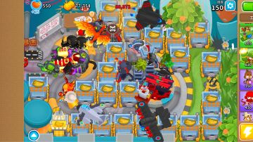 找出图上猴子的种类（可以不回答副路）