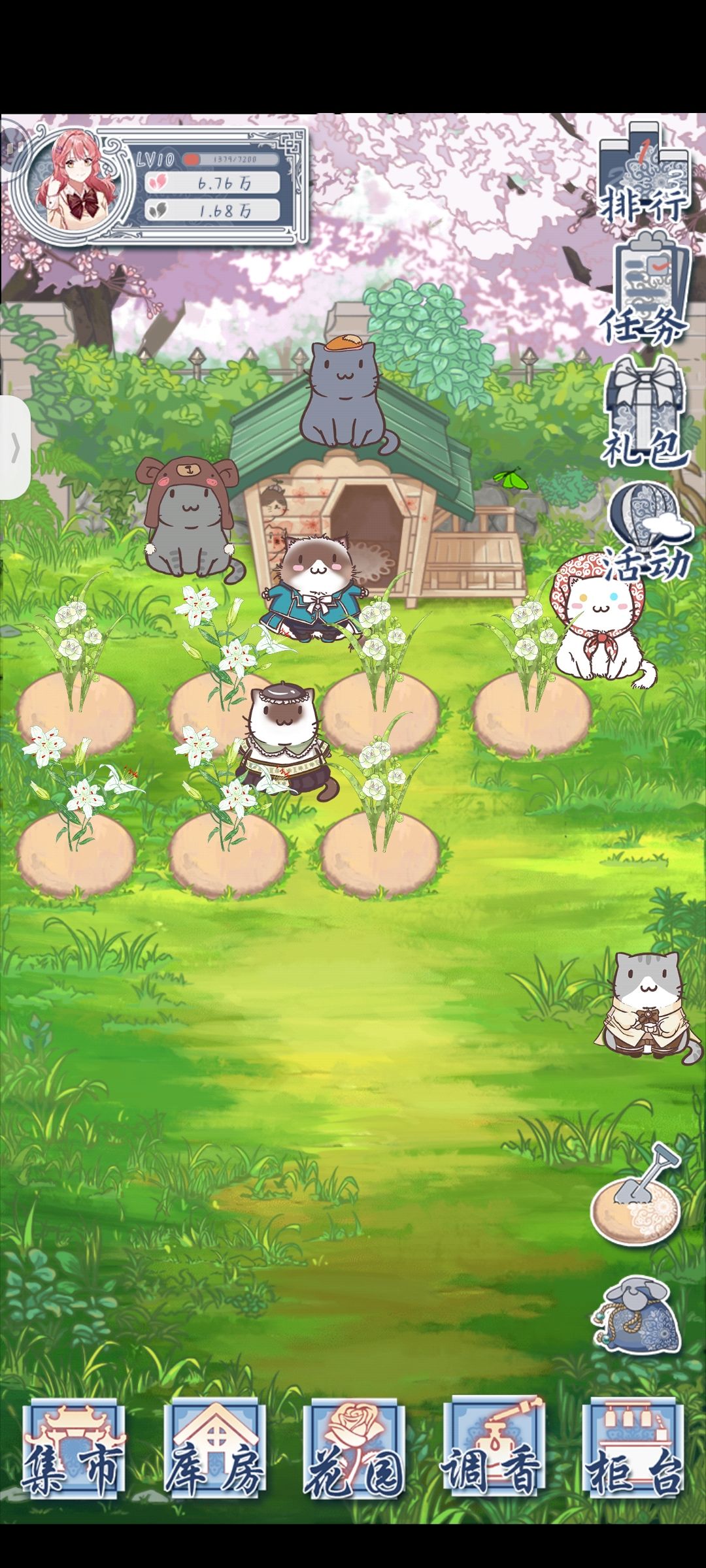 好久都没有流浪猫来了…… 1