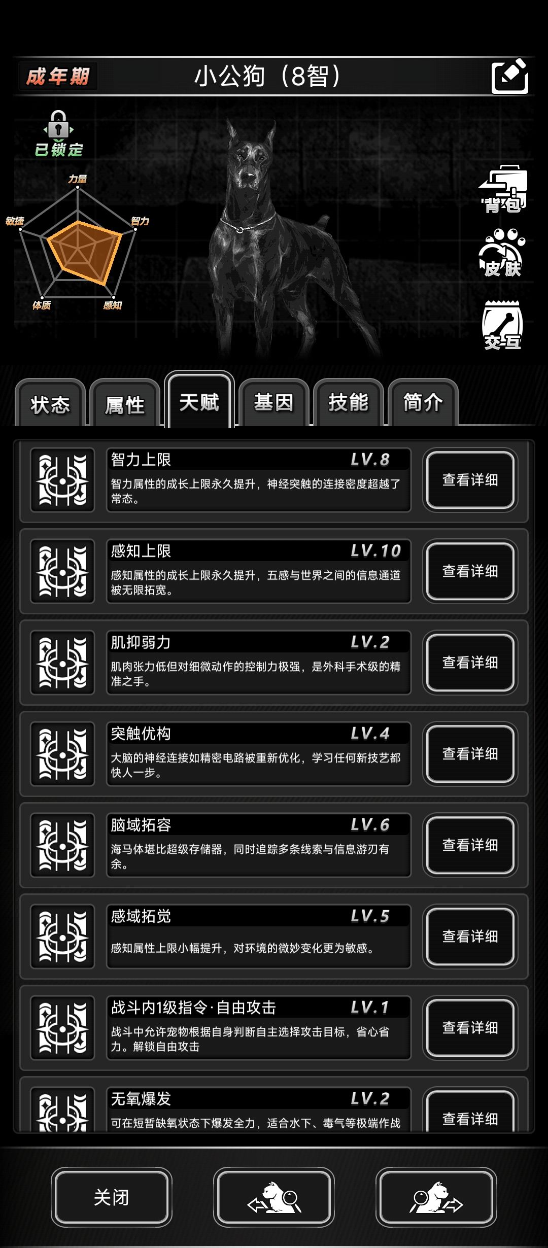宠物疑似要养疵了 2