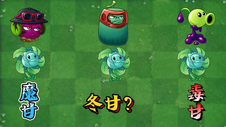 植物大战僵尸:继魔甘、毒甘之后,又来了个冬甘?截图