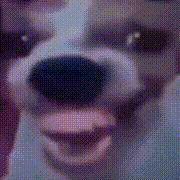 爽欸 2