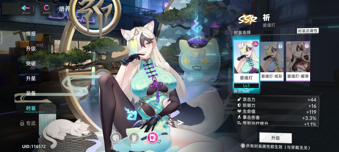 复活后的猫之城 1