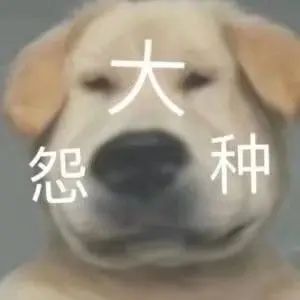 动态图片 4