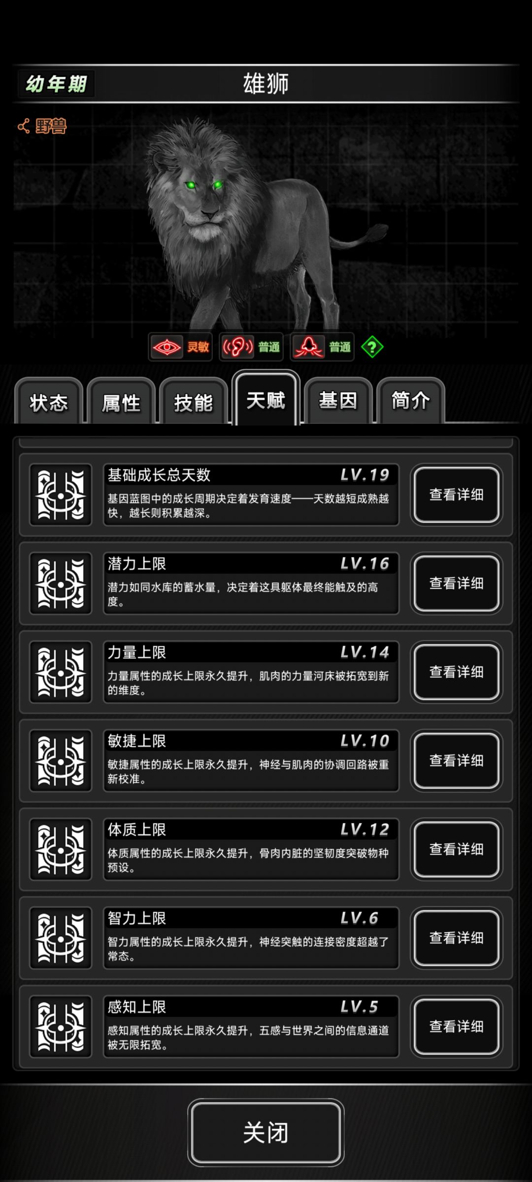 头一回见到天赋如此之高的狮子 1