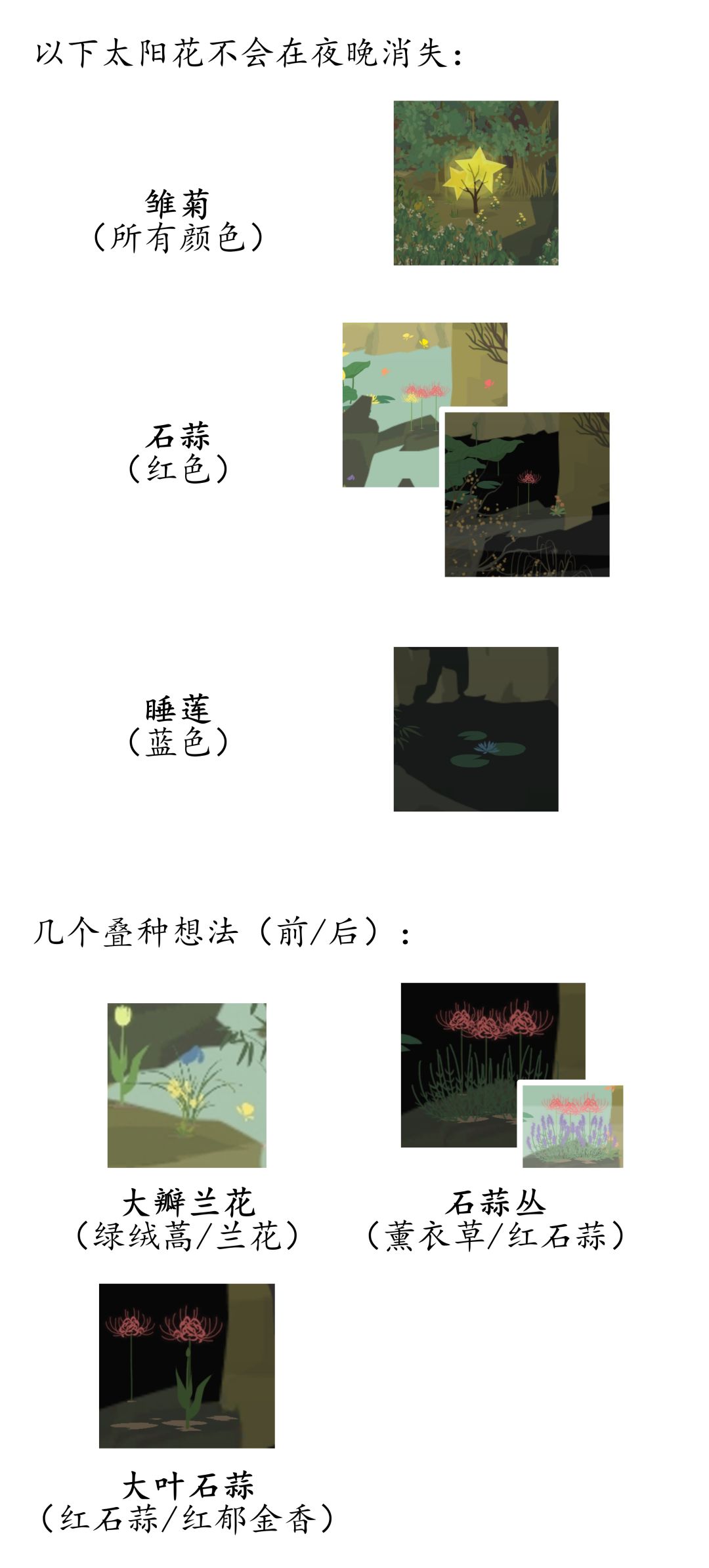 太阳花尺寸测量 3