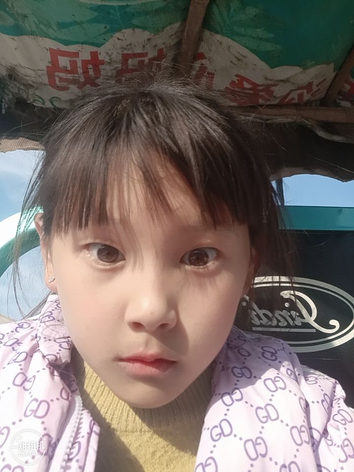 动态图片 1