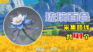 【原神】琉璃百合采集路线（41个），购买：3个
