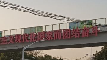 加我公会送月卡（保真）