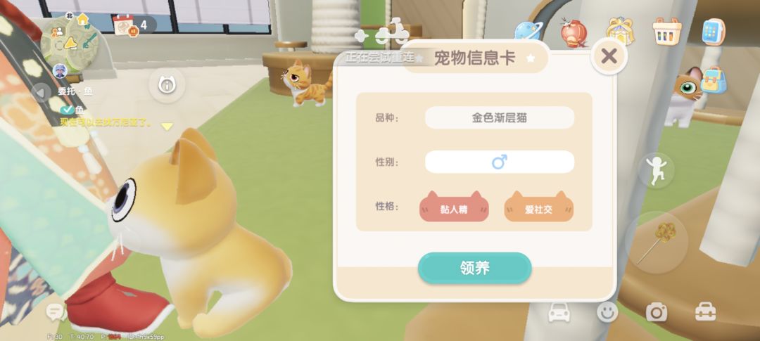 纪念心动小镇的猫猫词条 2