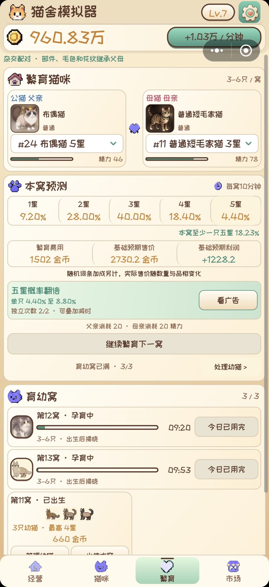 新版本《猫舍模拟器》 3