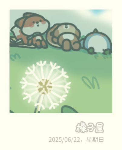 《橡子屋》正式营业啦! 2