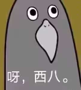 关于版本更迭造成的攻略过时问题