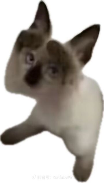 如果这样改，会不会让剑宗更好玩