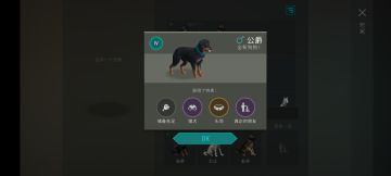 起号历时不满三个月