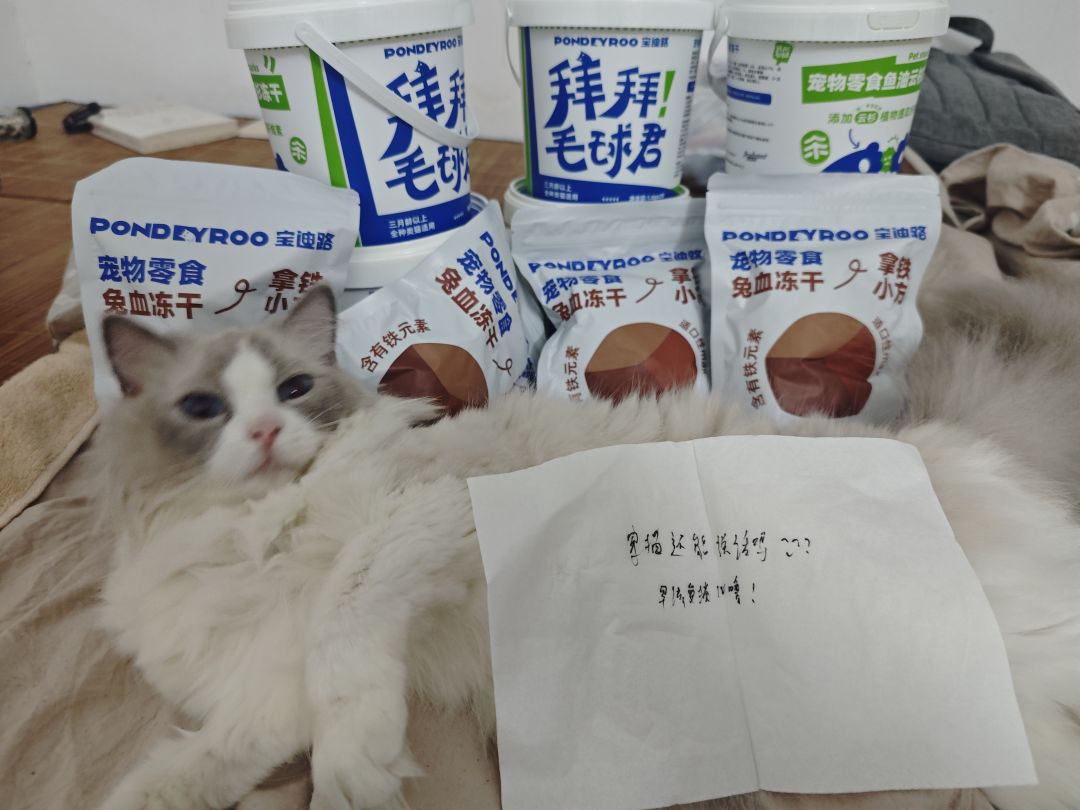 😤👊🏻牢猫还能说话吗? 2