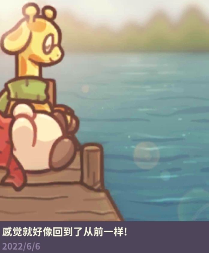 动态图片 7