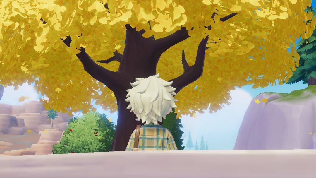 秋💛 2