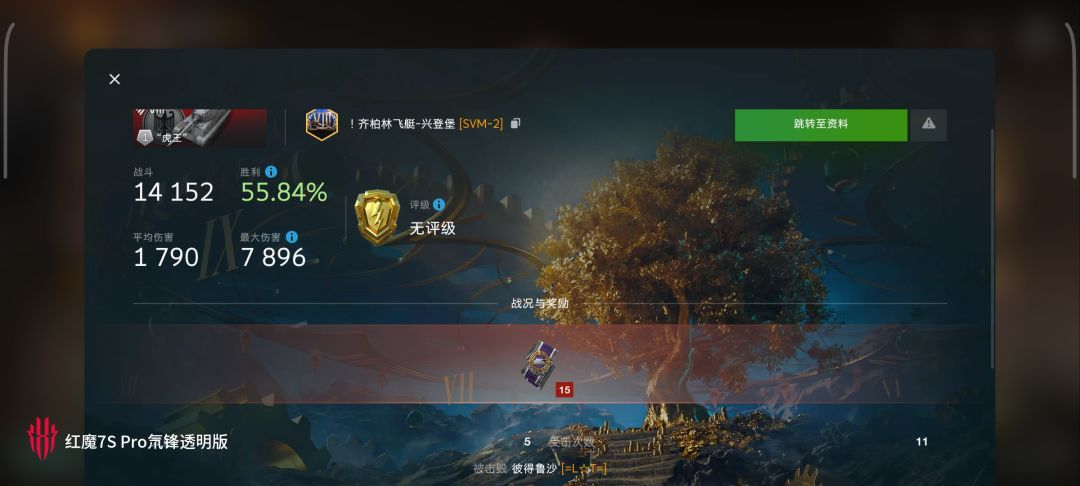动态图片 11