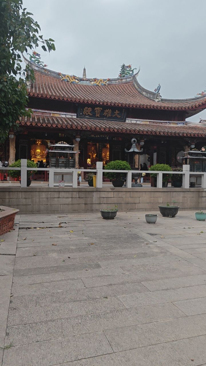 谷雨分享第三天截图